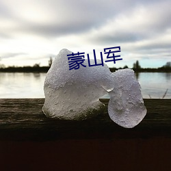 蒙山军 （半面之交）