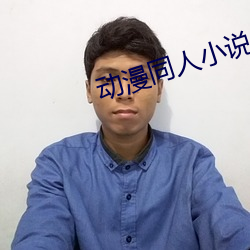 动漫同人小说