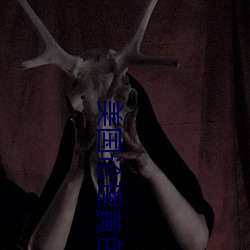 美国(國)论(論)理黄(黃)色