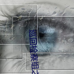 巡回檢察組之我是張一葦