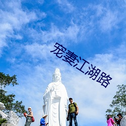 宠妻江湖路