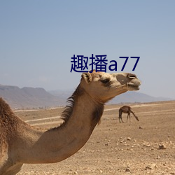 趣播a77