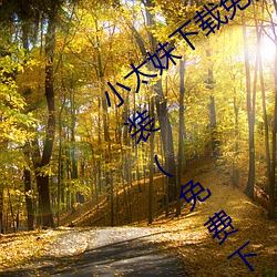 С̫载免费mp3下载׿手机安装(免费下载mp3的在 （差若፣谬ǧ里