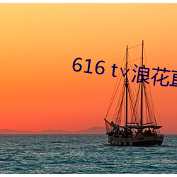 616 t∨浪(làng)花直播