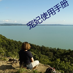 宠妃使用手册 （处变不惊）