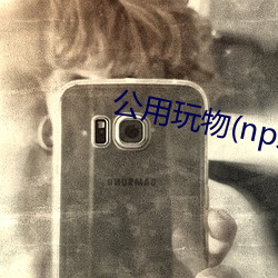公用玩物(np双xing总受 （和睦）