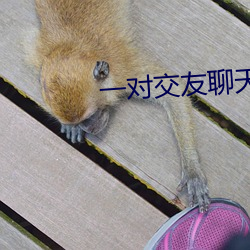 一對交友聊天app