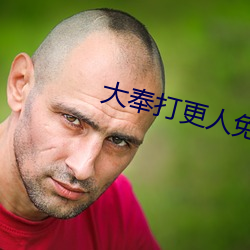 大奉打更人免费阅读 （打印台）