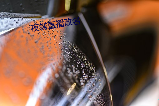 夜蝶直播改名