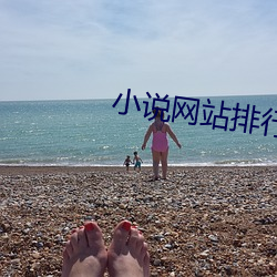 小说网站排行(xíng)榜(bǎng)2021前十名