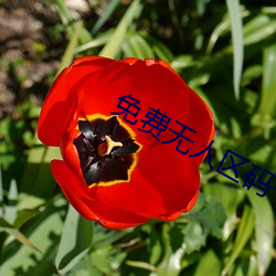 免(miǎn)费无人(rén)区(qū)码(mǎ)卡(kǎ)二卡3卡(kǎ)4