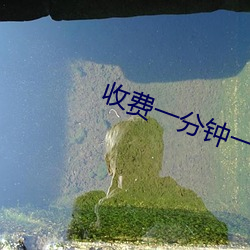 收费一分钟一对一视频聊天 （救苦救难）