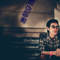 唐朝穿越指南 （一秉大公）