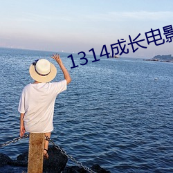 1314成(成)长(長)电影mv3000部(部)