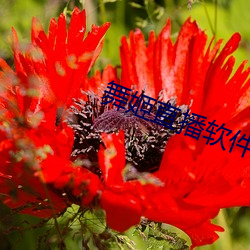 金年会 | 诚信至上金字招牌