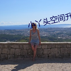 小丫頭空間升級記