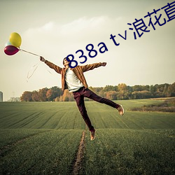 838a t∨浪花直播苹果 （频数）