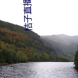 桔子直播