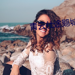 青云仕途鹅城知县小说