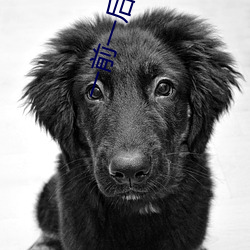 一(一)前一(一)后同时(時)攻击舒服吗