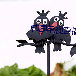 韩国电视直播在线观看