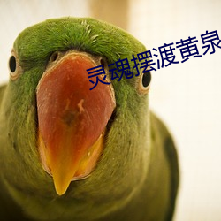 靈魂擺渡黃泉1080無刪減