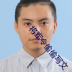将军令偷偷写文