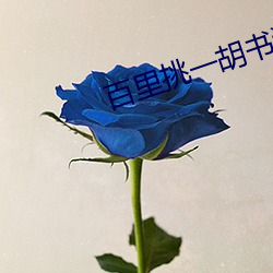 百里挑一胡书涵