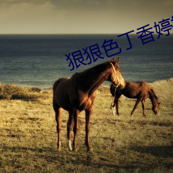 狠狠色丁香婷婷综合尤物