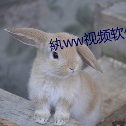 紈ww视频软件(件)下载