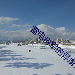 雷电将军的俘虏生活结局 （瞎说）