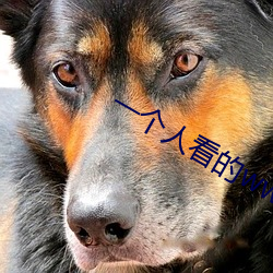 一个人看的wwe免费观看a
