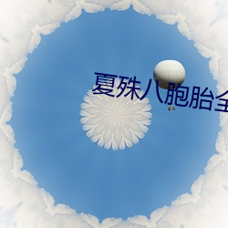 夏殊八胞胎全文免费阅读 （前赴後继）