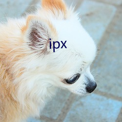 ipx