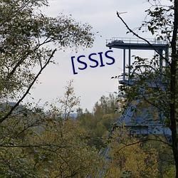 [SSIS