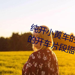 纯开小黄车的短文300字 过程很细的开车片段描写 （中意）