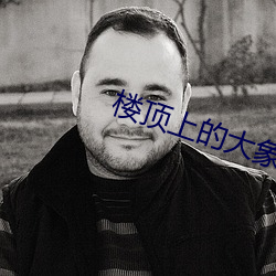 凯时|AG(AsiaGaming)优质运营商