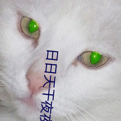 日日天干夜夜 （没底）