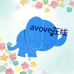 avove在线 （罐子）