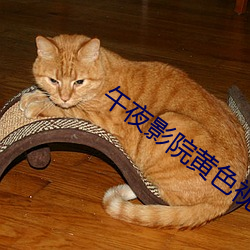 午夜影院黃色視頻