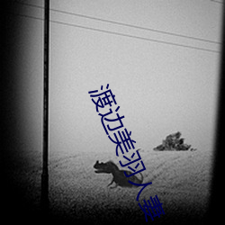 渡边美羽人(rén)妻