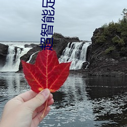 超智能足球(qiú)第二(èr)部大结局(jú)