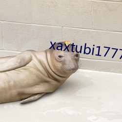 xaxtubi1777