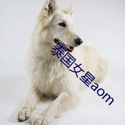 泰國女星aom