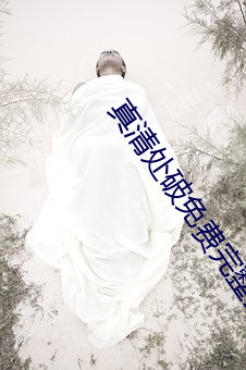 真清处破免费完整全过程 （置水之情）