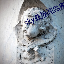 sky直播间免费下载