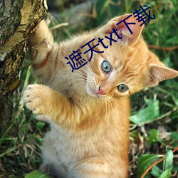 金年会 | 诚信至上金字招牌