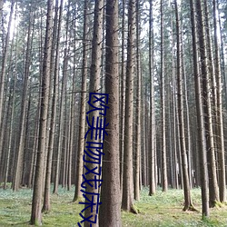 欧美(měi)吻戏(xì)床戏(xì)