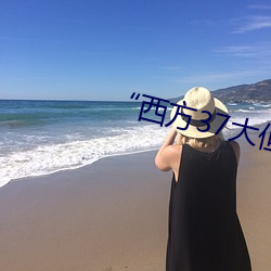 “西方37大但人文藝術A管張曉”
