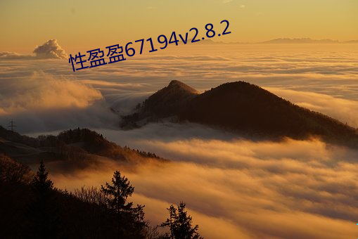 性盈盈67194v2.8.2 （产品）